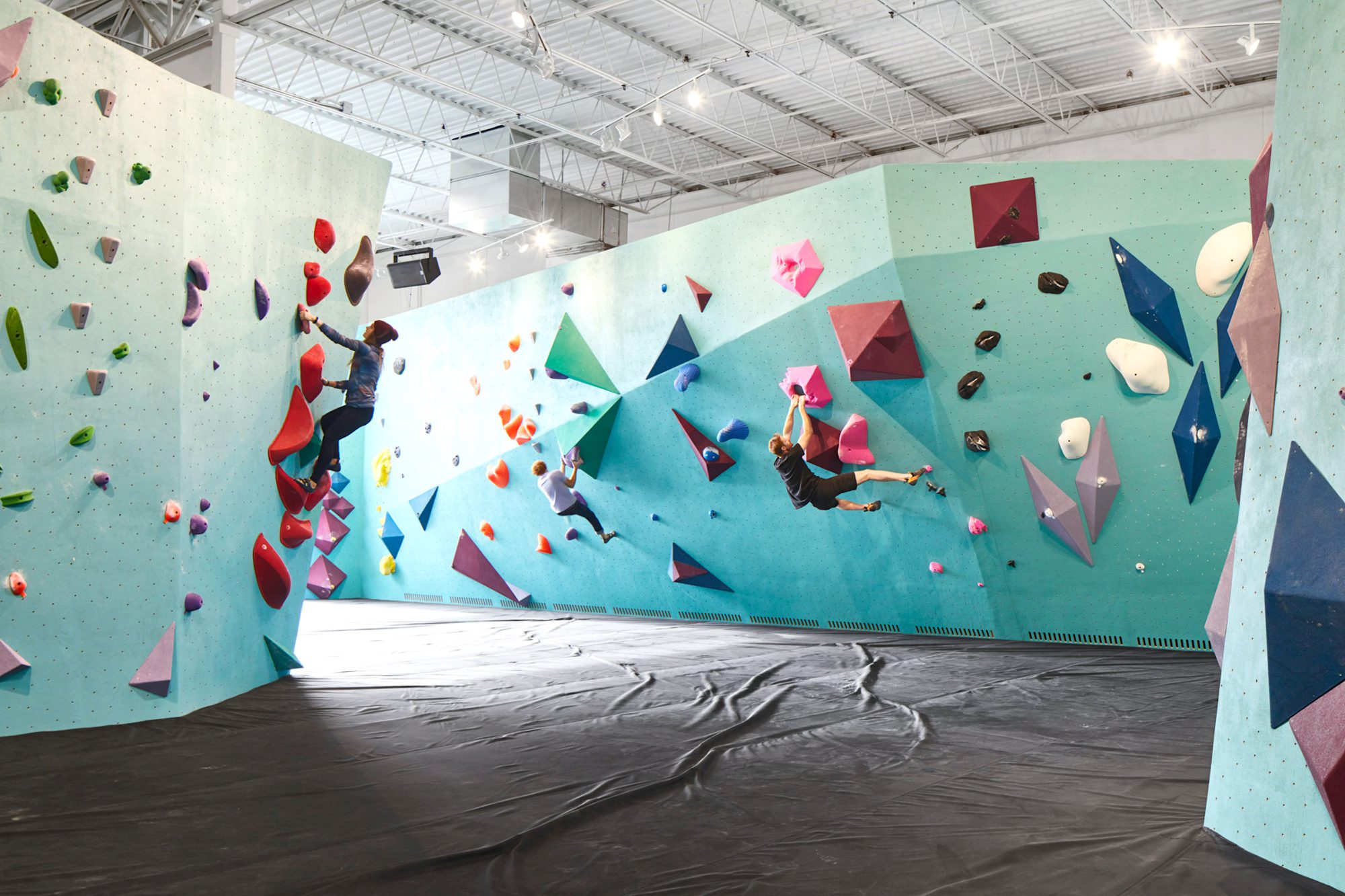 統一された壁面が美しいボルダリングジムのカラーブランディング