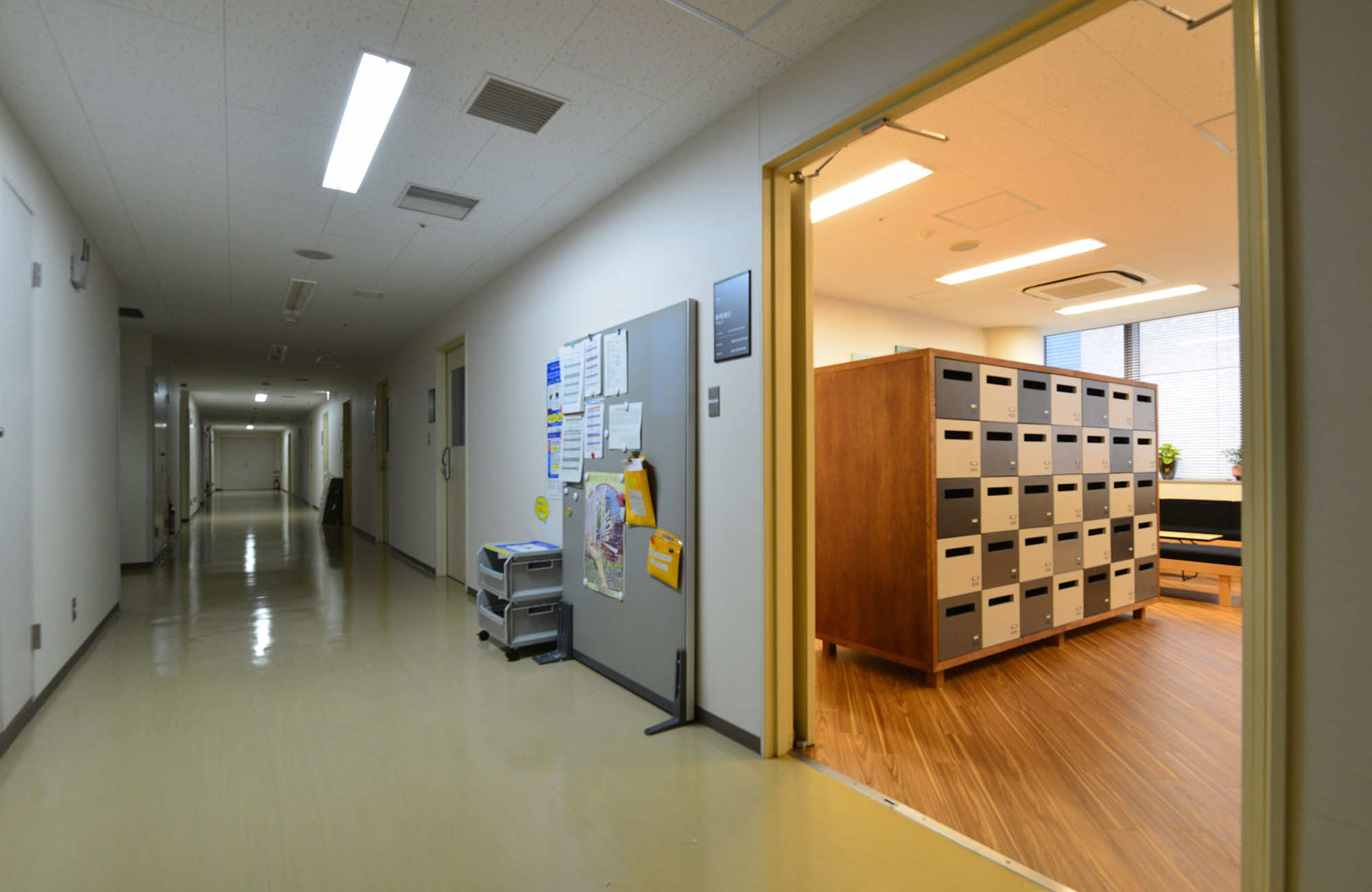 東京医科歯科大学